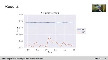 Neuromatch Conference Flash Talk on Mouse SST and VIP Interneurons in V1 - NMC4