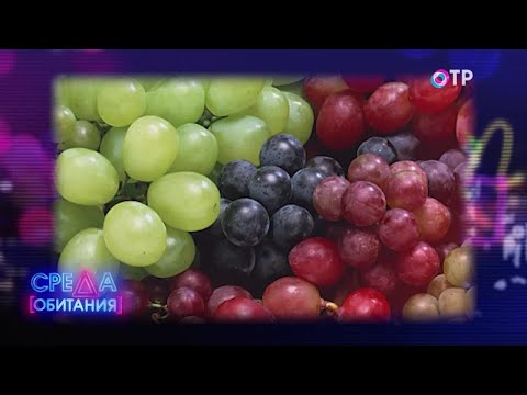 Выбираем самый вкусный виноград