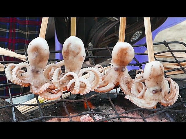 Cambodian Street Food - BABY OCTOPUS Sihanoukville Cambodia | Travel Thirsty