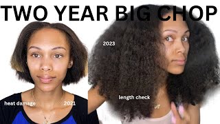 2 Year Big Chop Update | How I Grew My Heat \/ Color Damaged Hair Back After Cutting It Off