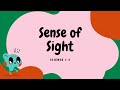 Learning the FIVE SENSES - SENSE OF SIGHT | Enjoy Science for Kids