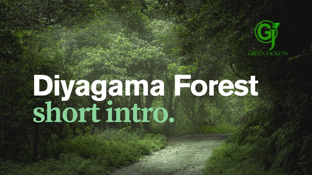 Diyagama Forest | Short Intro by Green Jackets Nature Club