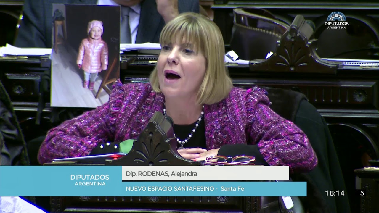 Diputada Rodenas Alejandra - Sesión 13-06-2018 - PL