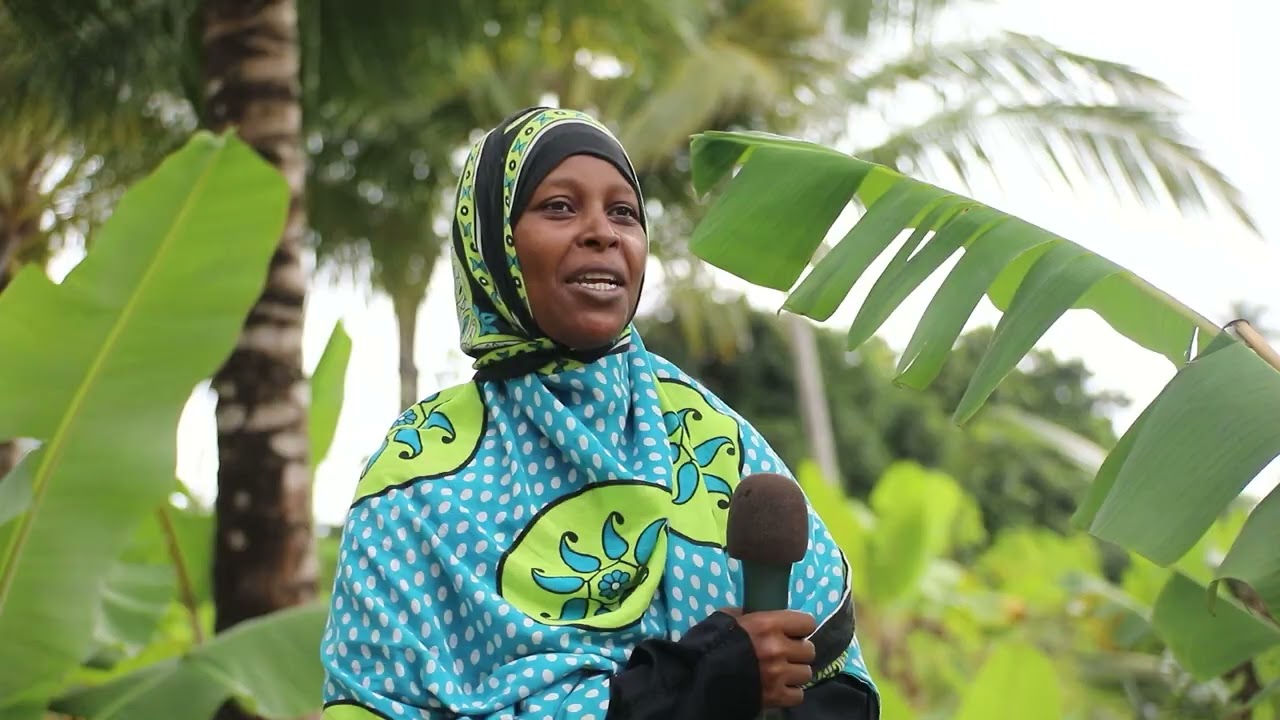 Shuhudia Uzuri wa Kisiwa cha Pemba