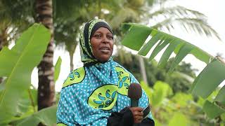 Shuhudia Uzuri Wa Kisiwa Cha Pemba