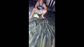 🎯WATCH LIVE🎯 09-14 09:16