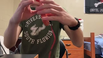 Project Components 101 - EGN 3000L