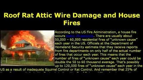 Google Duplicate Content  Myth In Local Markets