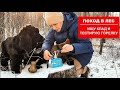 ЧТО СПРЯТАНО В ЛЕСУ? ИЩЕМ КЛАД. ГОРЕЛКА ОТ КАНАЛА #ДОРОЖНЫЙБРОДЯГА