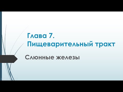 Физиология. Глава 7. Пищеварительный тракт. Слюнные железы