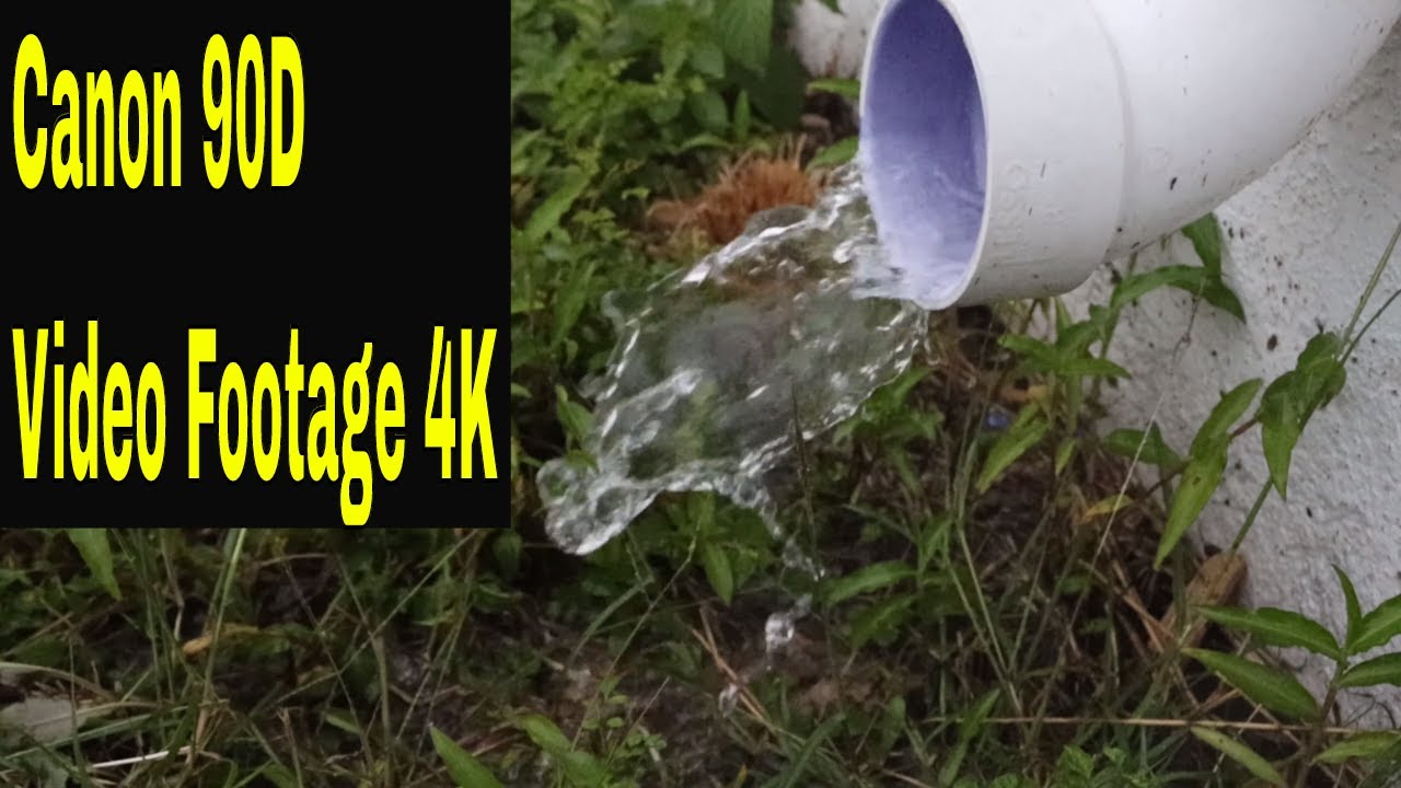 Raw Canon 90D Unedited Video Footage 4K YouTube