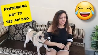 Ignoring My DOG Prank On Simba   Cutest & Funniest Video