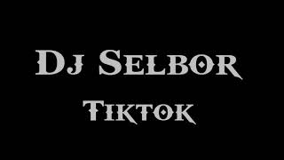 Dj - Slebor Viral Tiktok | 2020