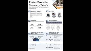 Project Executive Summary Details Presentation Report Infographic Ppt Pdf Document