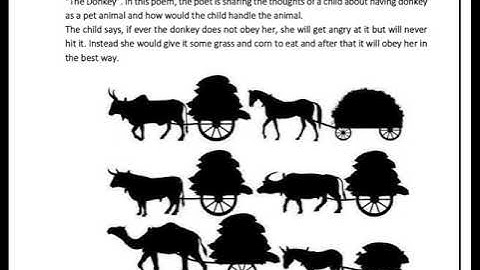 EDMC CLASS 4TH ENGLISH WORKSHEET WEEK 14