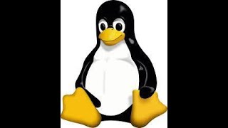 Linux Tutorial 01:Basic Navigation and File Commands Net Worth