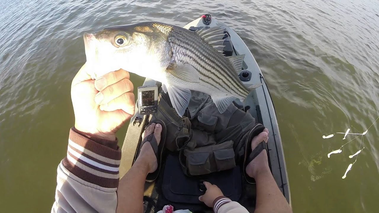 Hogan Rig New Hogan Lake 2015 Trolling A-Rig - YouTube