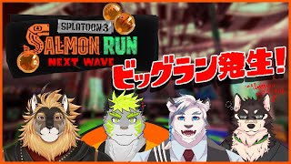 [Splatoon3]ケモＶみんなでビッグラン~日曜日編~[中島ダイワ]
