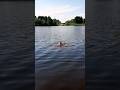 Открыли купальный сезон!!! У нас жара 30°, вода как парное молоко...
