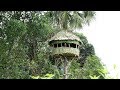 Build An AMazing Round Hut Around Palmyra Palm Tree - Round House Making By Smart Village Boys