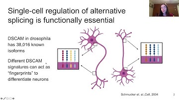 Statistical detection of regulated alternative splicing from single-cell RNA-seq data (BARC 2020)