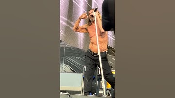 👕💥 He doesn’t perform. He detonates. Every. Single. Time. #iggyPop