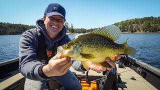 How To Find EARLY Spring Crappies