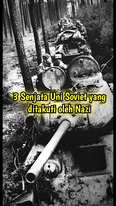 3 Senjata Uni Soviet yang ditakuti oleh Nazi #shortvideo #history