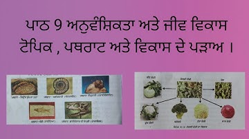 Class 10th Science Ch 9 , Topic Fossil formation and Evolution by stages  (Punjabi Medium).
