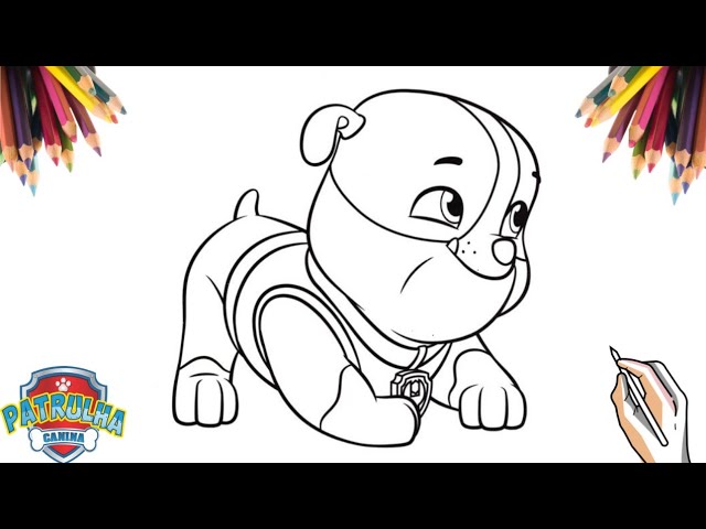 Colorindo DESENHO DA PATRULHA CANINA CHASE PAW PATROL DESENHOS PARA COLORIR  Cartoon para criança 