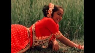 Paayum Pulli - Aappa Kada Song