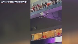 Cat Falls From Stadium Balcony, Fans Break Its Fall With An American Flag