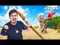 We found real tiger in forest          crazy adventure