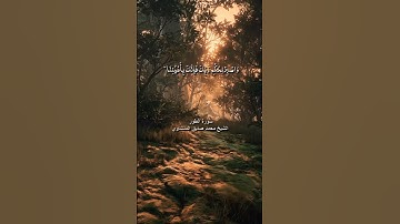 واصبر لحكم ربك فإنك بأعيننا / سورة الطور / الشيخ محمد صديق المنشاوي