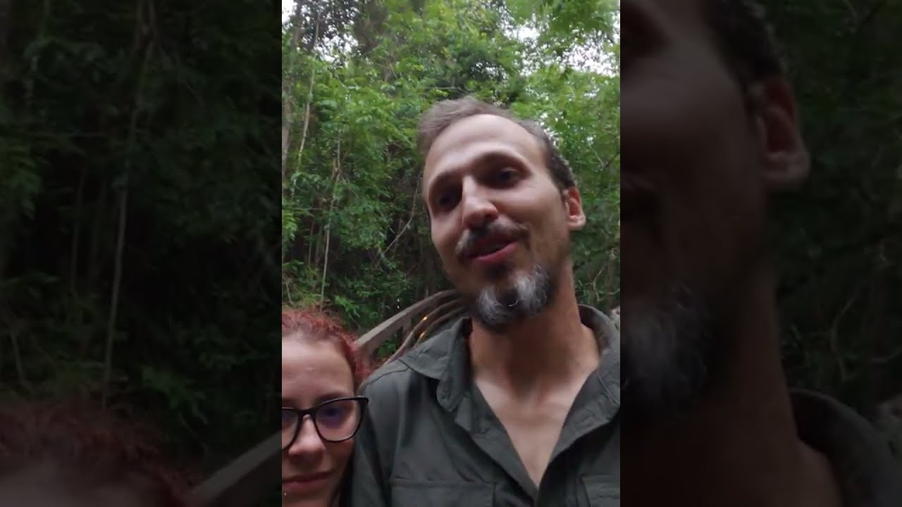This Wild Baby Tapir Is Not Scared Of Us Shorts