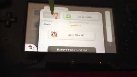 Black Wii U: Wii U Friend list review!