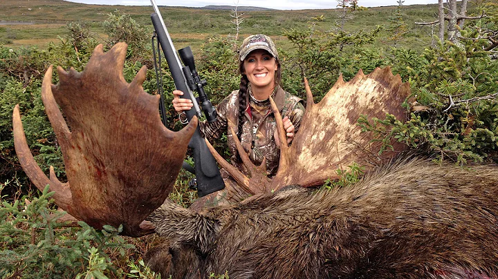 Hunting Newfoundland Moose- Moose on the Loose- Winchester Deadly Passion