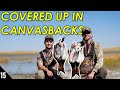 Canvasback LIMITS in the Sandhills! (So Many) | Nebraska Duck Hunting 2020