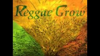 HOTEL CALIFORNIA BEST REGGAE VERSION