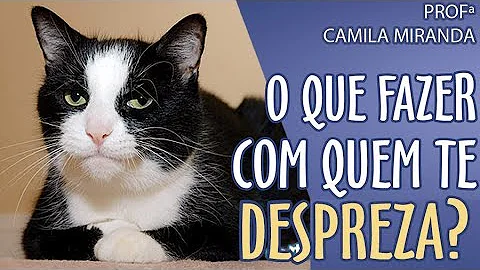 O que fazer quando sua família te despreza?