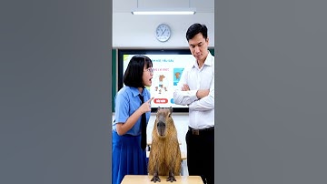 Linh đưa điện thoại cho Capybara rồi đi báo thầy giáo #capybara