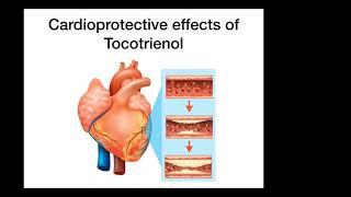 Dr  Grace's Presentation on Tocotrienol