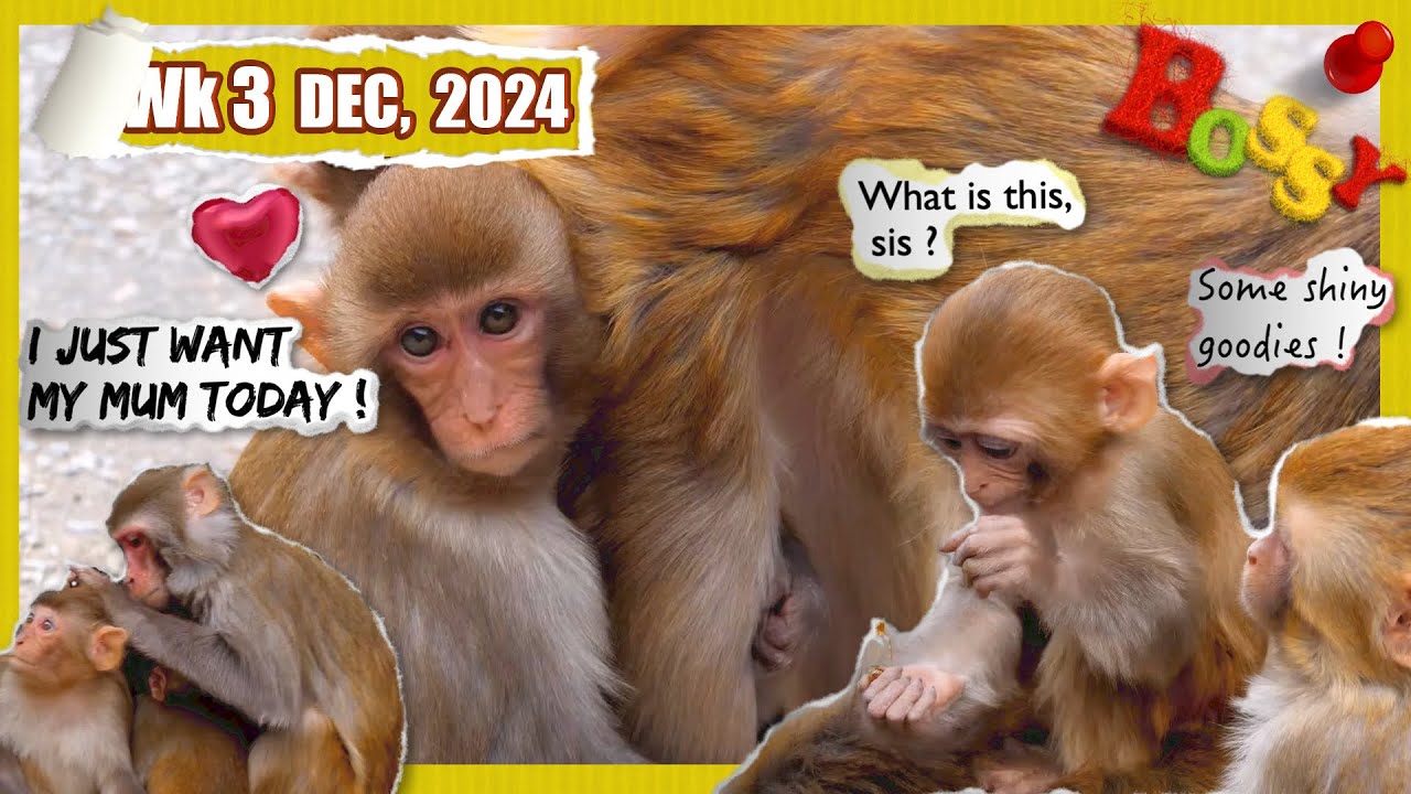 A lil boy who wants his mum ☹️