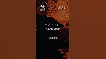 Surat Al-Masad (The Palm Fiber, Flame) | Qari Yasir Shah | سورة المسد