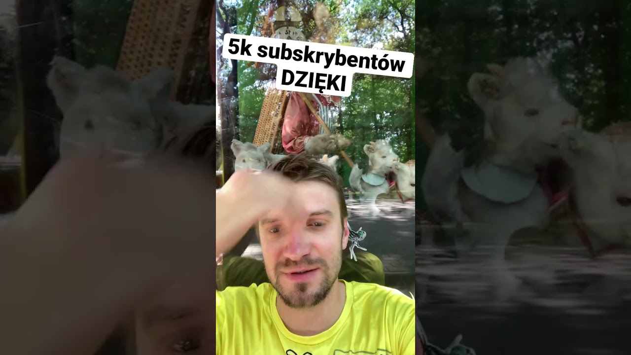 5 000 subów