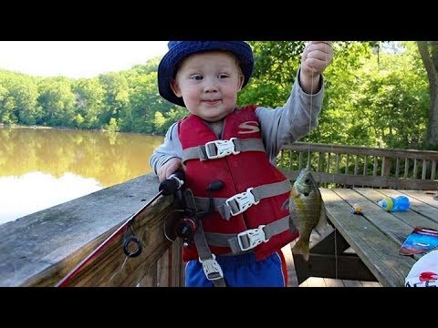 How to Catch Fish For Beginners - Fishing 101 (Picking gear, location, bait, rigs & tips)