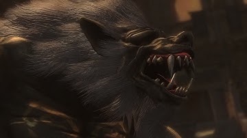 Ninja Gaiden Sigma 2 (Master Collection) - How to loop Volf 101 Tutorial