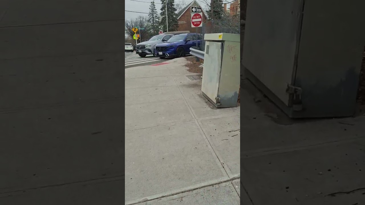 فياق بكري بالدهب مشري