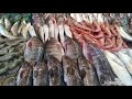 سوق المنيب الحضاري اسماك السعيدي بدوي عبد التواب 