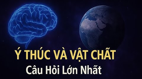 Bạn Có Thật Sự Tồn Tại? Cuộc Đối Thoại Giữa Ý Thức và Vật Chất